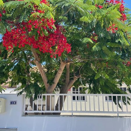 Casa Enamorado Tarajalejo Dış mekan fotoğraf