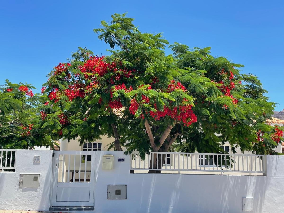Casa Enamorado Tarajalejo Dış mekan fotoğraf